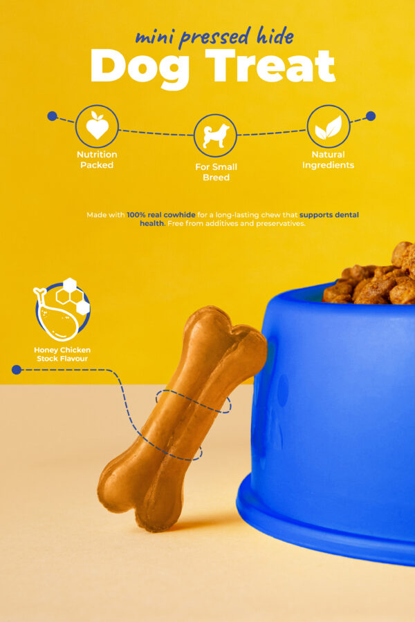 Premium Organic Dog Food